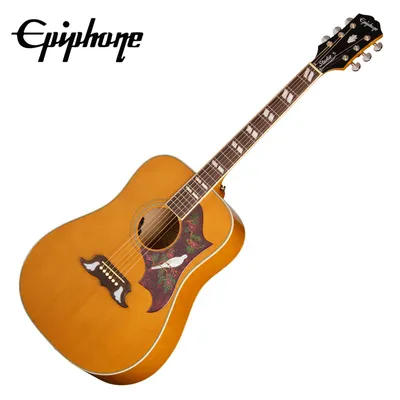 Epiphone 에피폰 어쿠스틱 기타 Dove Studio Natural (EASDVANNH1)