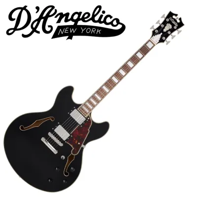 D.Angelico 디안젤리코 Premier DC -Solid Black