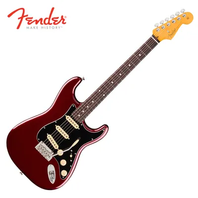 프로페셔널 3 출시!! Fender USA American Professional III Stratocaster HSS RW Oxblood (011-1120-730)