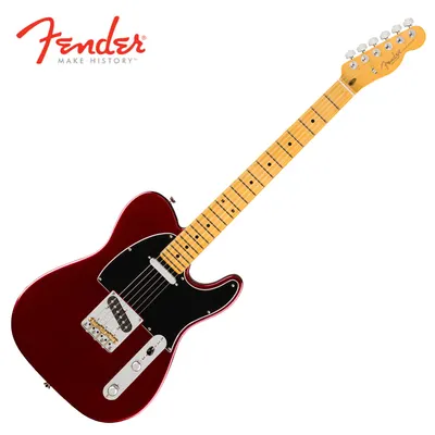 프로페셔널 3 출시!! Fender USA American Professional III Telecaster MN Oxblood (011-1142-730)