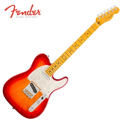 프로페셔널 3 출시!! Fender USA American Professional III Telecaster MN Aged Cherry Burst (011-1142-731)