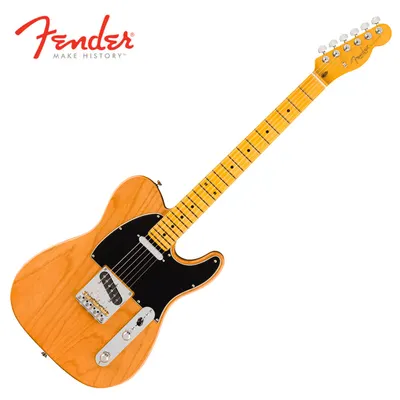 프로페셔널 3 출시!! Fender USA American Professional III Telecaster MN Natural (011-1142-721)