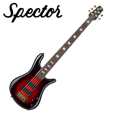Spector 스펙터 베이스 NS ICON 5 Neck Thru 5현 Purple Cherry