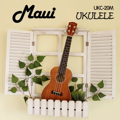 Maui 콘서트 마호가니 UKC-20M