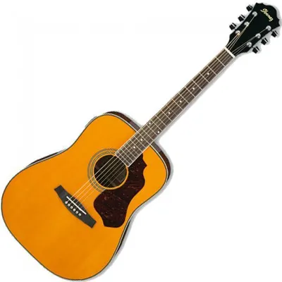 Ibanez 어쿠스틱기타 SGT120E