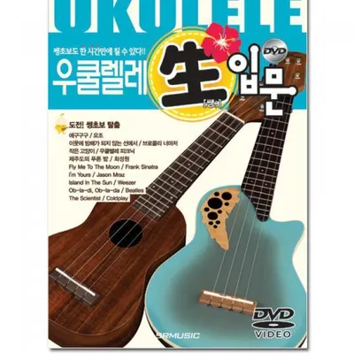 우쿨렐레 生(생)입문 강의 DVD 포함 [2456951]