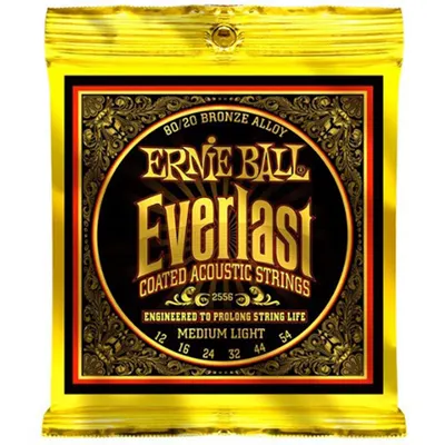 어니볼 Ernie Ball 통기타줄 에버라스트 코티드 80/20 브론즈 [2556] (012-054)
