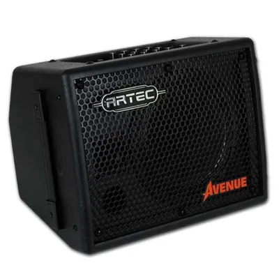 Artec 앰프 20w Street Amp Avenue