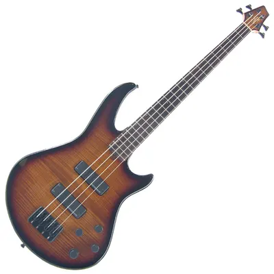Godin 베이스기타 BG-Solid
