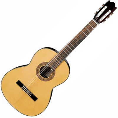 아이바네즈 Ibanez 클래식기타 G100 (IBAG-033-NT)
