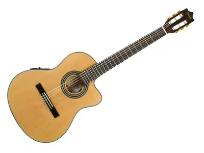 아이바네즈 Ibanez 클래식기타 GA5TCE