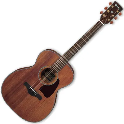 Ibanez 어쿠스틱기타 AC2040 (IBAG-069-OPN)