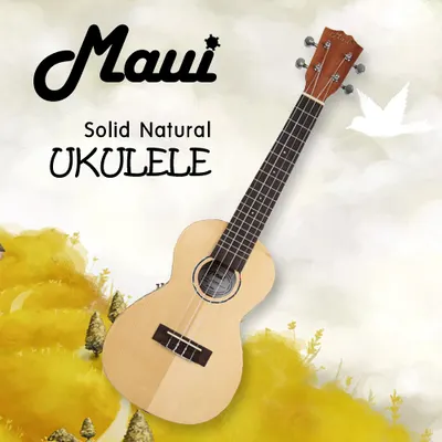[전시] 마우이 Maui 우쿨렐레 콘서트 네츄럴 솔리드 UKC-20CN-SS - 사이드판 파손품
