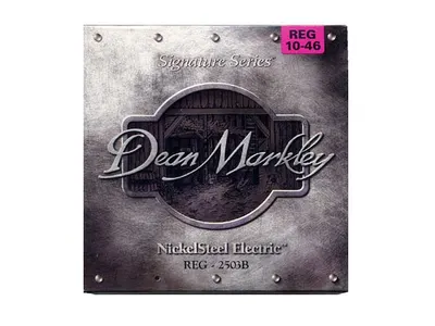 Dean Markley 일렉기타 스트링 Nickel Steel [REG-2503B] (010-046)