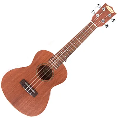 TWOMAN 우쿨렐레 콘서트 Ukulele TM-UP3