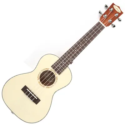 TWOMAN 우쿨렐레 콘서트 Ukulele TM-UP2